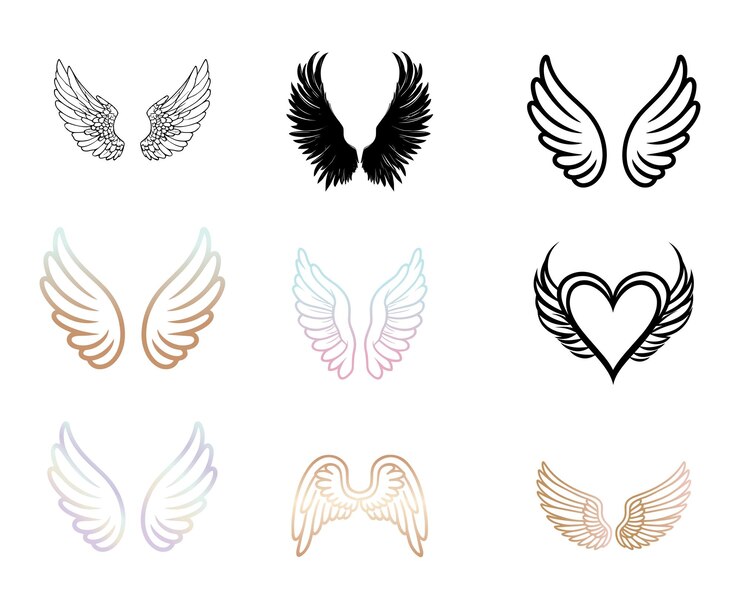 Vector a set of three wings with wings and wings