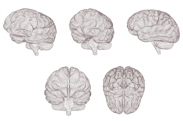 Vettore impostare l'elaborazione dei megadati della rete neurale del cervello informatico vettoriale tridimensionale