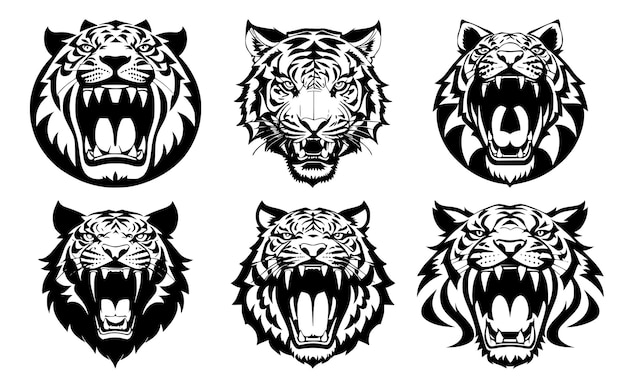 Set of tiger heads with open mouth and bared fangs with different angry expressions of the muzzle Symbols for tattoo emblem or logo isolated on a white background