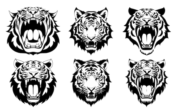 Set tijgerkoppen met open mond en ontblote hoektanden met verschillende boze uitdrukkingen van de snuit Symbolen voor tattoo-embleem of logo geïsoleerd op een witte achtergrond
