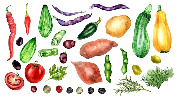토마토, 오이, 고추, 콩, 수채화, 삽화, 세트, 고립된, 백색 위에서, 감자, batata