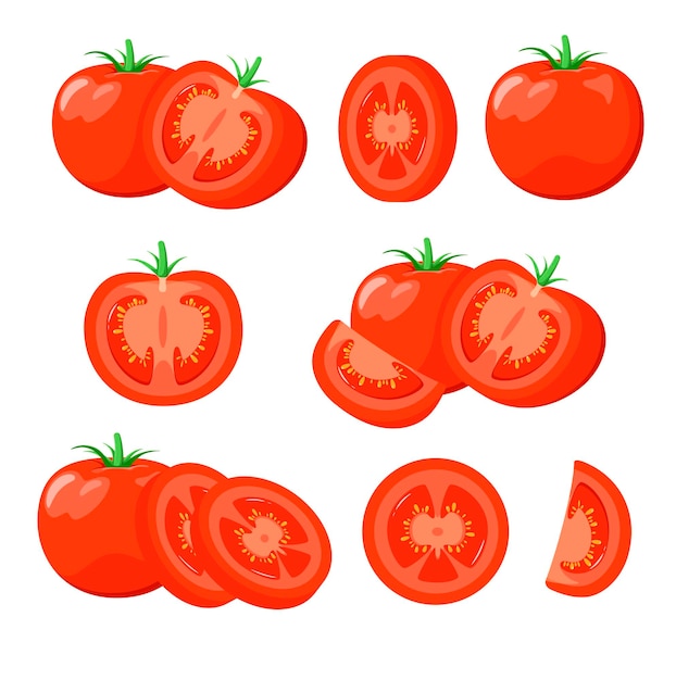 Un insieme di pomodori su sfondo bianco cartoon design