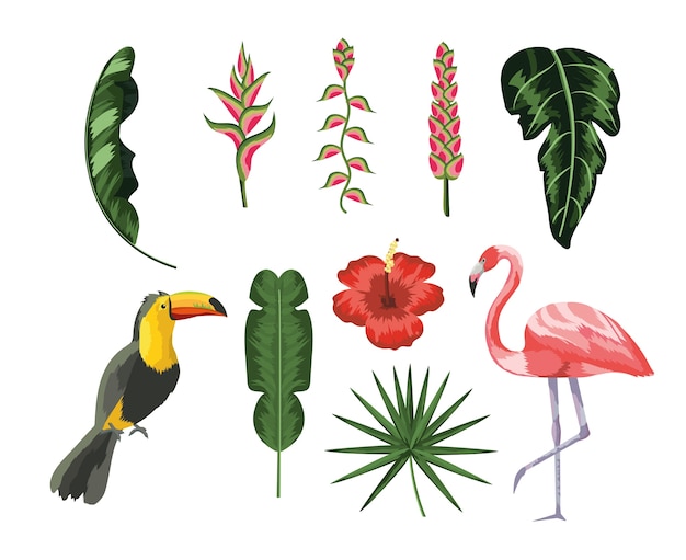 Vector set toucan with flamingo and tropical leaves