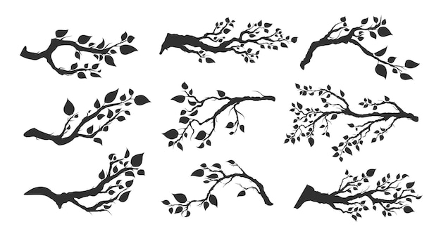 Vector set of tree branches with leaves isolated