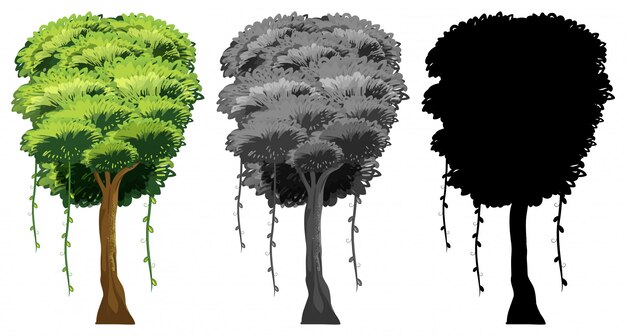 Vector set of tree design