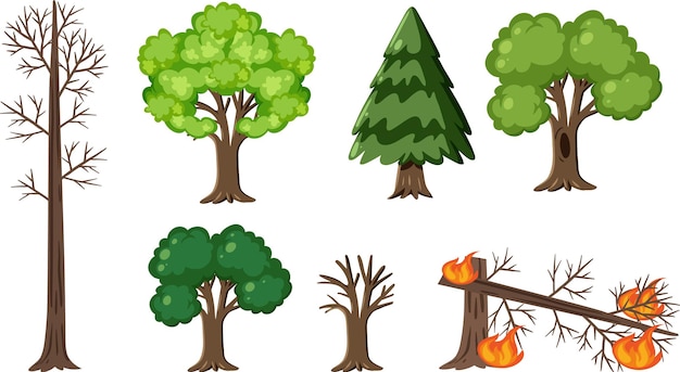 Набор деревьев в разном состоянии