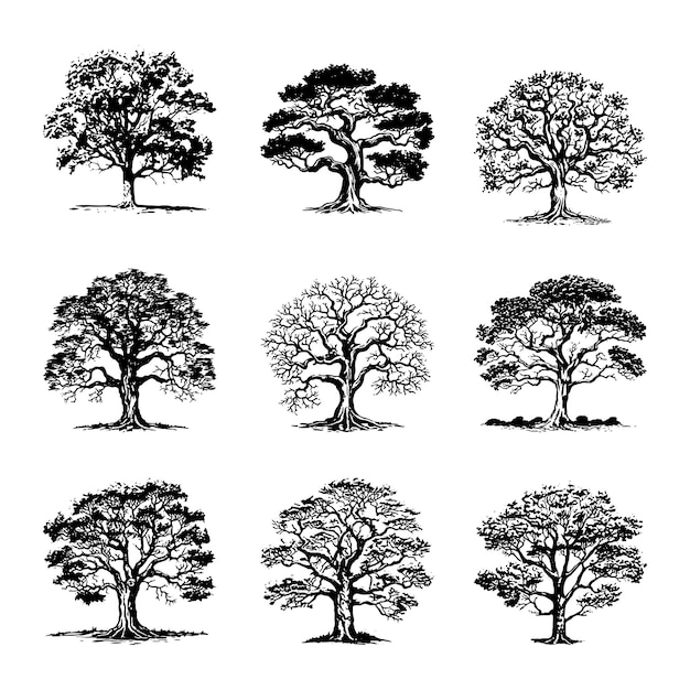 Набор ручно нарисованных векторов деревьев