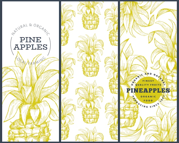 Set of tree pineapple banner templates. 