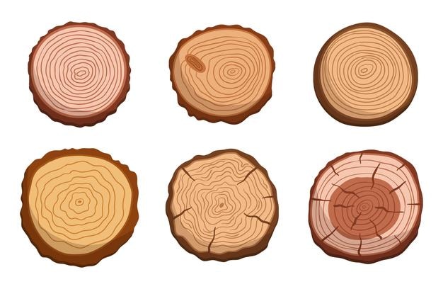 set of tree trunk cross sections showcasing the unique patterns and growth rings isolated icons on white