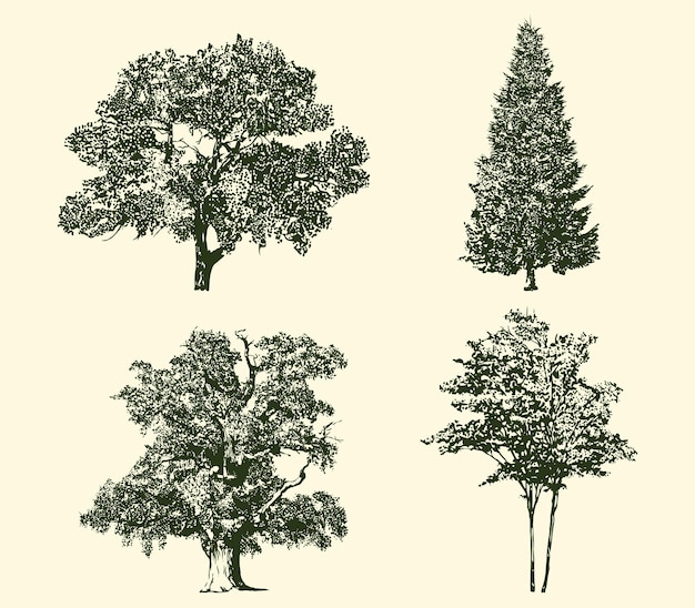 Vettore set di raccolta di vettori di albero