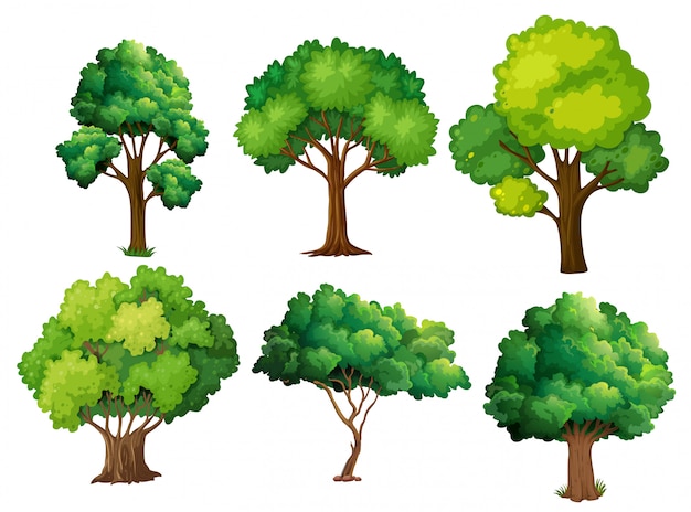 Vector a set of tree