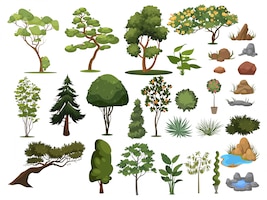 Set of trees and shrubs. collection of landscape design elements.   illustration.