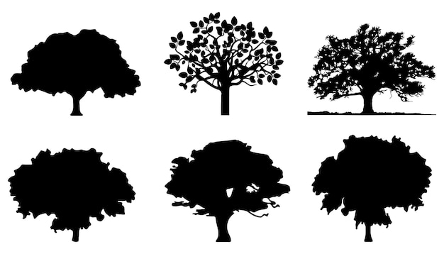 Insieme della siluetta degli alberi isolata su priorità bassa bianca