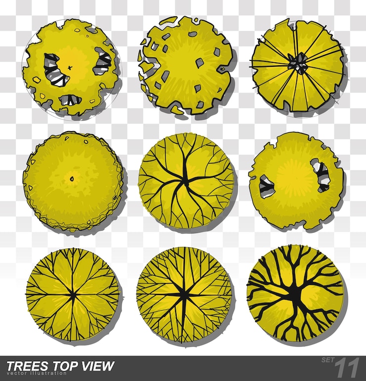 Vector set of trees top view for landscape design vector illustration