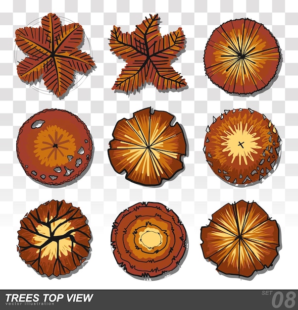 set of trees top view for landscape design vector illustration