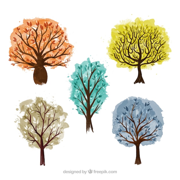 Vettore insieme di alberi in stile acquerello