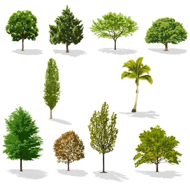 Vector a set of trees with different colors