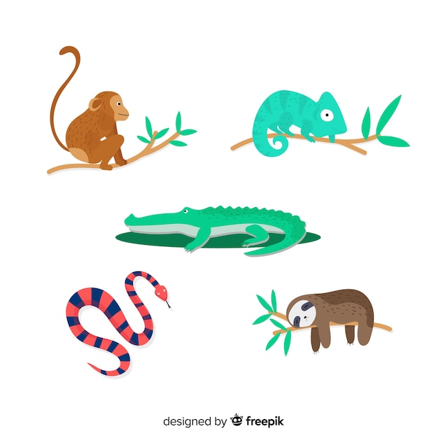 Insieme di animali tropicali: scimmia, camaleonte, coccodrillo, alligatore, serpente, bradipo. design in stile piatto