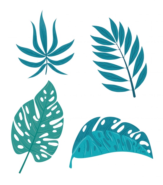 Vector set tropical, branches with jungle plants