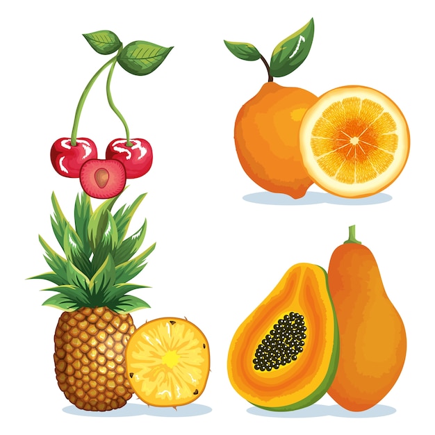 Impostare la progettazione di illustrazione vettoriale frutti tropicali ed esotici