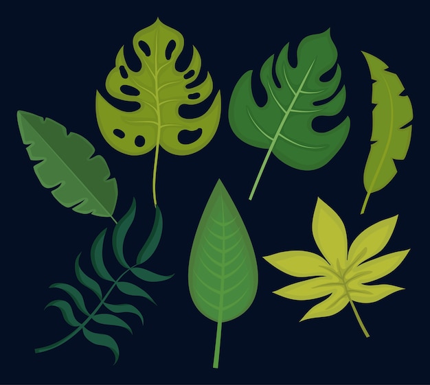 Vector set of tropical and exotic leaves