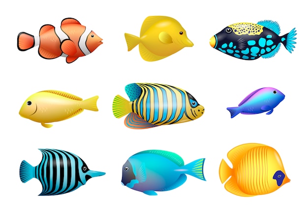 Vector set of tropical fishes