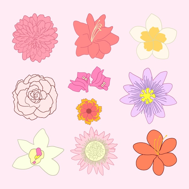 Set of Tropical Flower Simple Flat Line Illustration