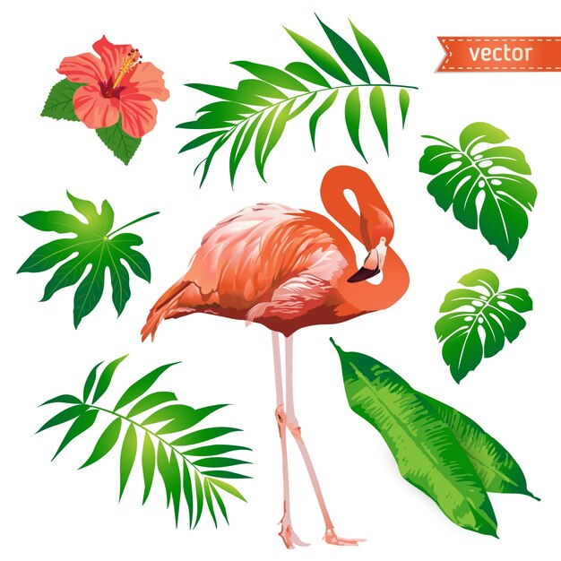 Vector set of tropical flowers