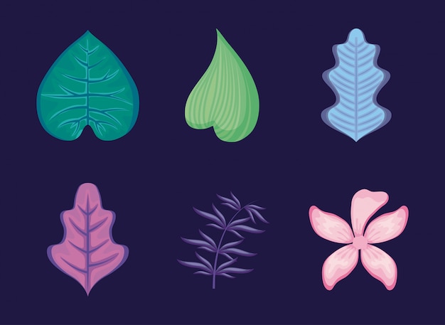 Set of tropical leafs and flower