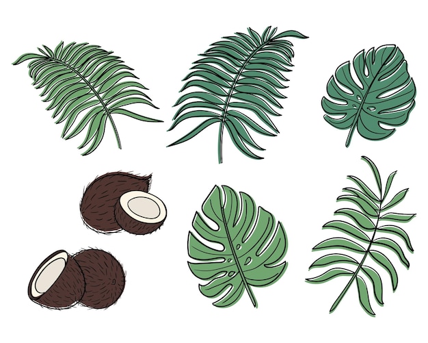 A set of tropical leaves and coconuts