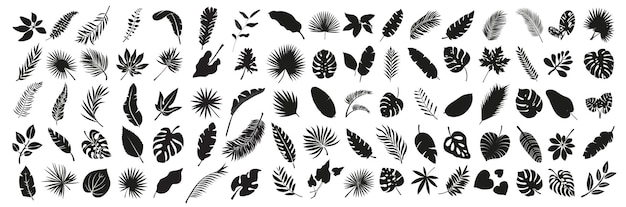 Set of Tropical leaves Collection black leaves palm fan palm banana leaves Nature leaves collection Vector illustration