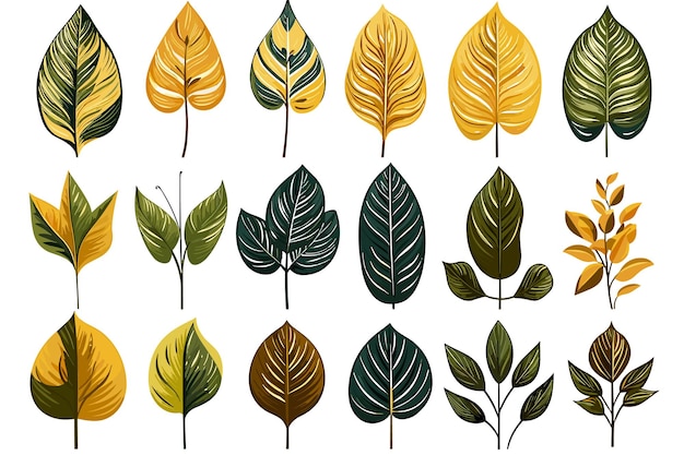 Vector set of tropical leaves decorative element vector art and illustration