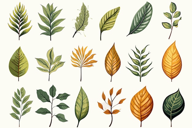Vector set of tropical leaves decorative element vector on white bakground