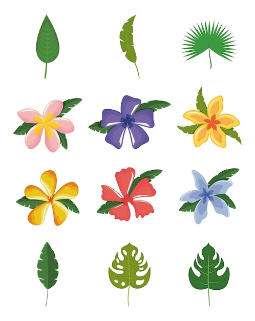 Set of tropical leaves and flowers