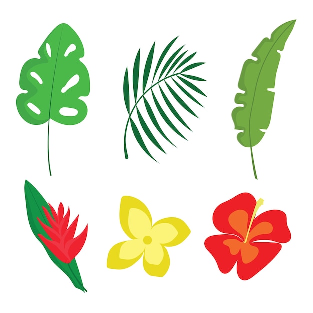 set of tropical leaves and flowers