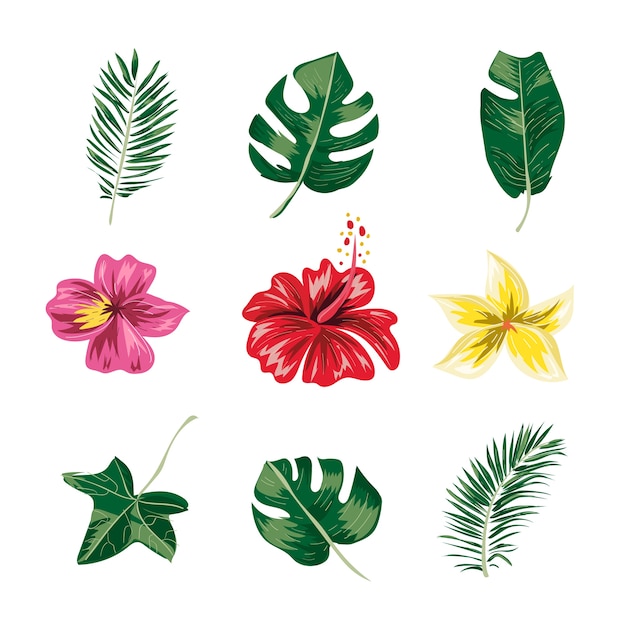 Vector set of tropical leaves and flowers.
