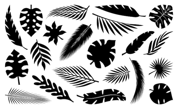 Set of tropical leaves silhouettes Collection palm leaves