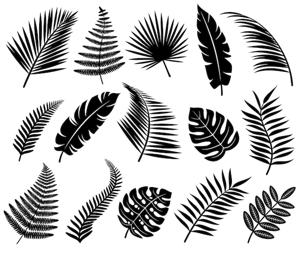 Set of tropical leaves vector