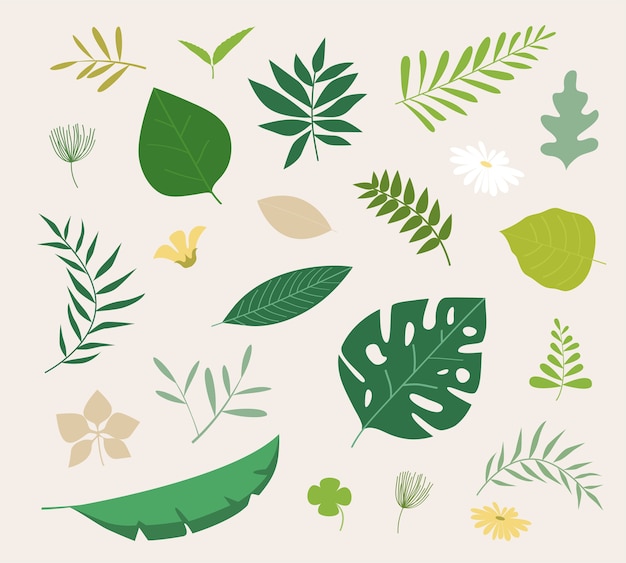 Vector set of tropical leaves