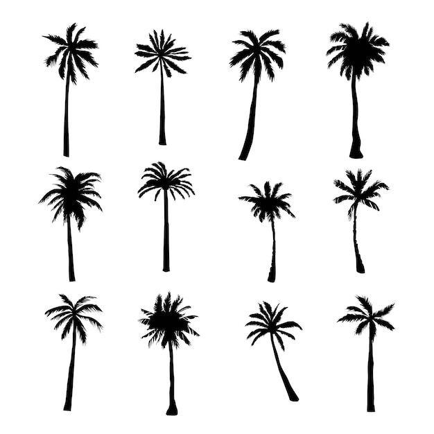 Set di palme tropicali e alberi isolati su bianco