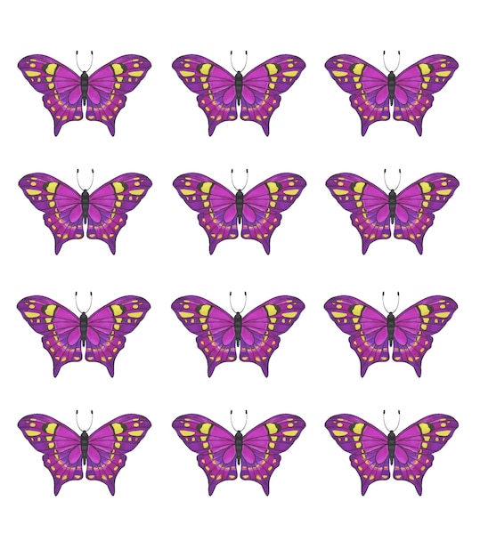 Set of tropical purple butterflies for print