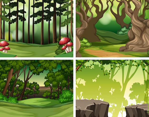 Set of tropical rainforest background