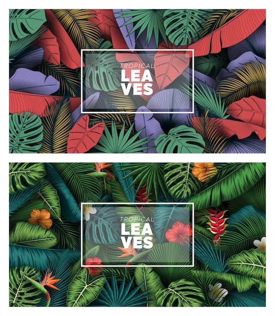 Set of tropical summer leaves background with jungle plants