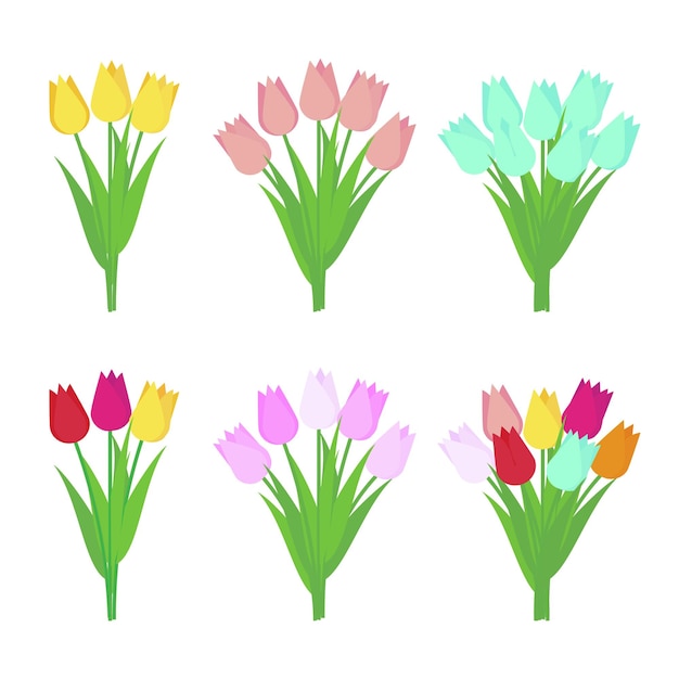 Set di mazzi di fiori di tulipano isolati su sfondo bianco illustrazione vettoriale