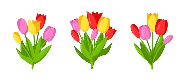 Set of tulips bouquets. Flower elements for spring or festive design.