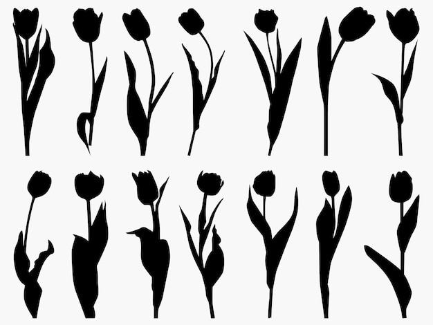 Vector set of tulips flower silhouettes