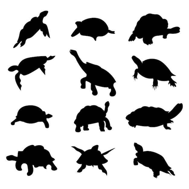 Set of turtle animal silhouettes of various styles