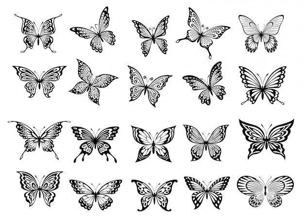 Set di venti farfalle