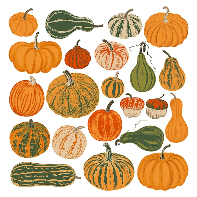 Vector set of twenty two multicolored pumpkins brush texture isolated on white