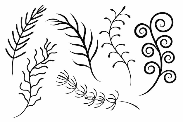 Set twigs black outline vector of isolated elements of twigs with leaves.